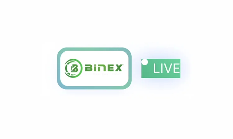 binexglobalcapitals